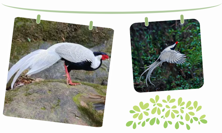 ������������ͬ�ػ���Ȼ����